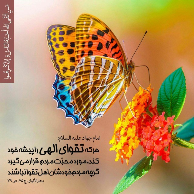 💠 امام جواد علیه السلام:  📚 بحارالانوار، جلد ۷۵، ص ۷۹
