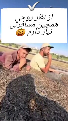 همینجوریه ک وقتی تخمه میخریم کلی پوست تخمه داخلشه 😁

🇯‌🇴‌