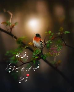 سلام عصرپاییزتون بخیر 💫