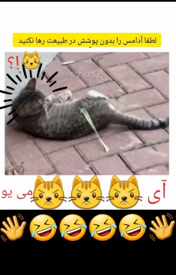 آی آدامس می یو ، فشششششش😾😾😾🙏