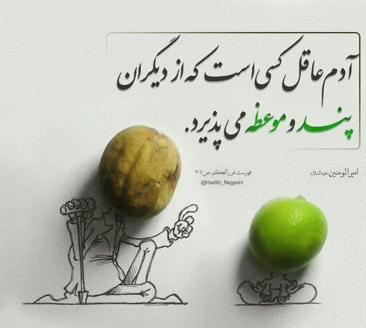 عاقل باشیم