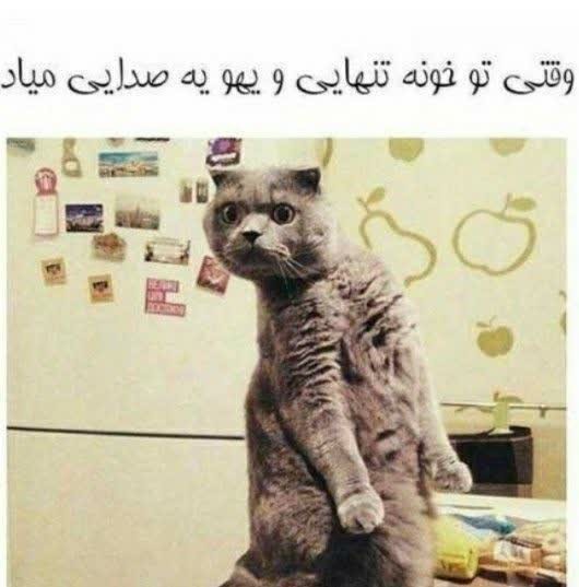 کیبودصدادروکرد😃😂🤭