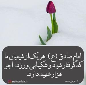 یا مولا علی جان التماس دعا 