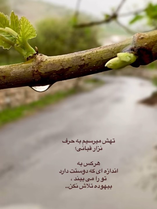 درسته مگه نه؟؟