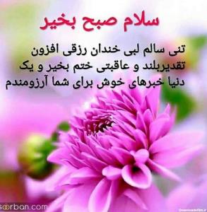 تنتون سالم🌹🌹🌹🌹