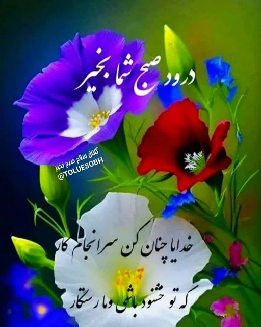 سلام صبحتون پر انرژی🌺🌺🌺🌺