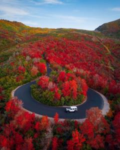 شبت بخیر 😎❤🌼🌹💚🌹