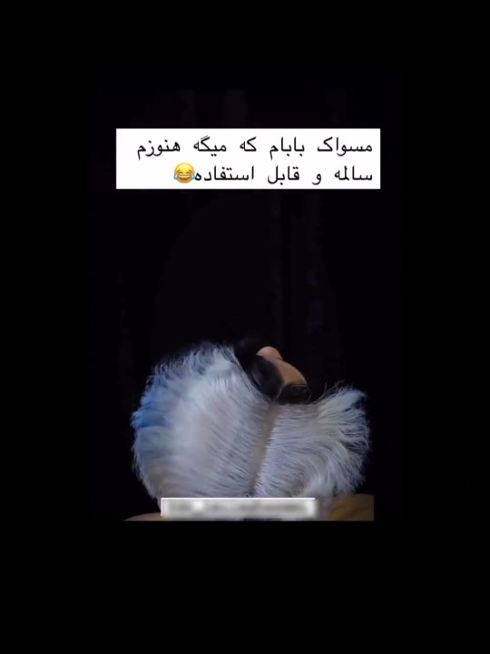 نمایی از مسواک بابام 😂😂


😂😂😂