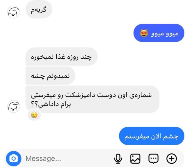 ضربه مغزی شد 😂🤣😂🤣