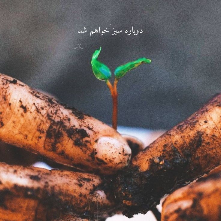 تکرار کن این جمله رو💚