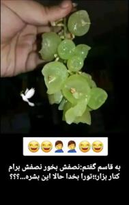 لعنت بشی قاسم... 🕊🤕😅