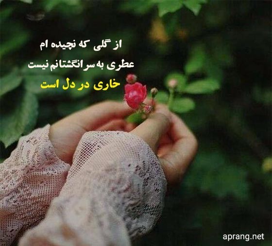 استاد شمس لنگرودی 🌹🎶🎵