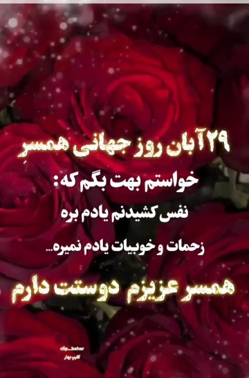 🌸روز ۲۹ آبان‌ روز جهانی همسر❤️❤️❤️❤️❤️❤️❤️