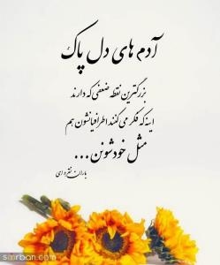 شبتون‌بخیر غرق ارامش‌الهی ‌آبجی وداداش های گل 