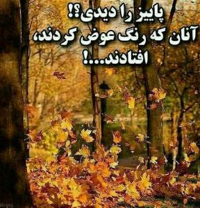 و این قانون دنیای ماست..