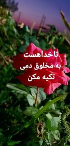 الهی‌برسد‌از‌جانب‌خدا،مصلحت‌هایی‌که‌آرزویت بود🌷شبتون درپناه