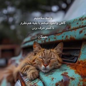 حوصله ای نیست