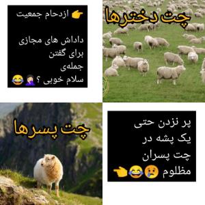 چقده حق گفتم 🤏👈👐؟