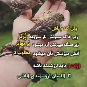 سلام شب بخیر🌹🌹🌹