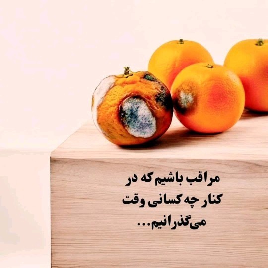 واقعا بعضی ارزش ندارن کنارشون باشی، 