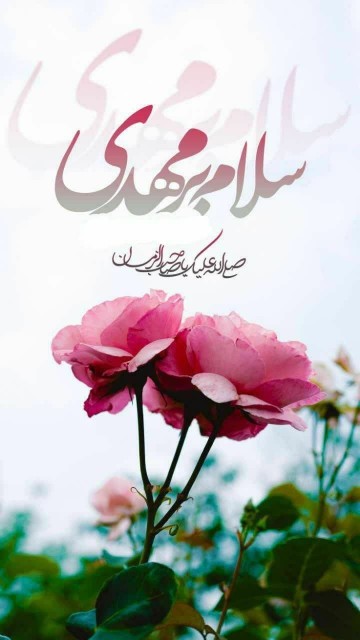 سلام امام زمانم♥️ اللهم عجل لولیڪ الفرج🌤