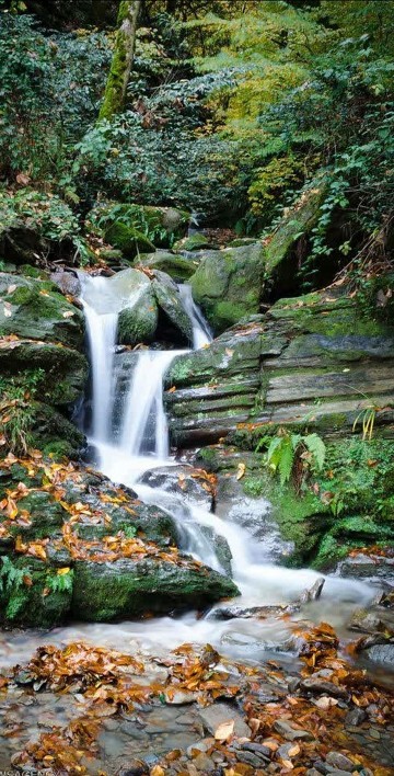 شعر زیبایی از مرحوم افشین یداللهی 🍂🍁🍂🍁🍁