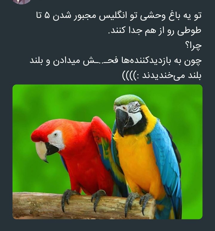 از اینا انتظار نداشتیم 