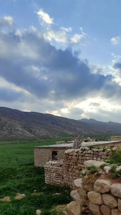 طبیعت زیبا