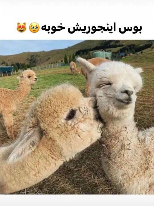 اووخ..🤝😉