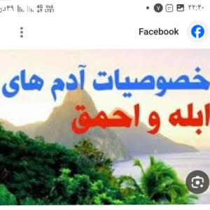 احمقها 