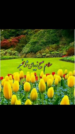 سلام صبح بخیر🌻🌷🌻