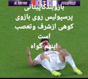 منقاروندپولکی 