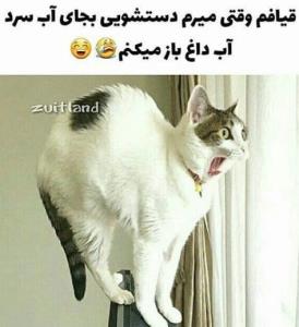 هیچ حرفی ندارم .تجسمی هست 🤪🤪