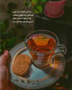 سلام عصر زیباتون بخیر 🤞☕🌹