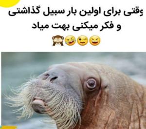 خود خودشه 😄