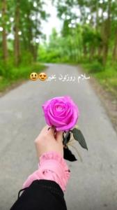 سلام 🌹🌿