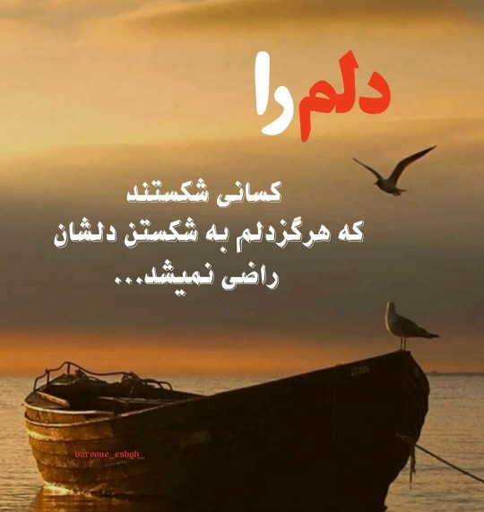 دلم را 