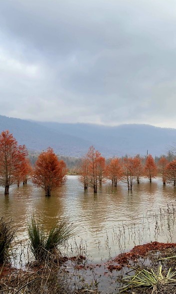 مازندران