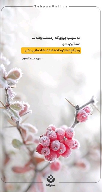 امیدعرب یک آیه از قرآن کریم 