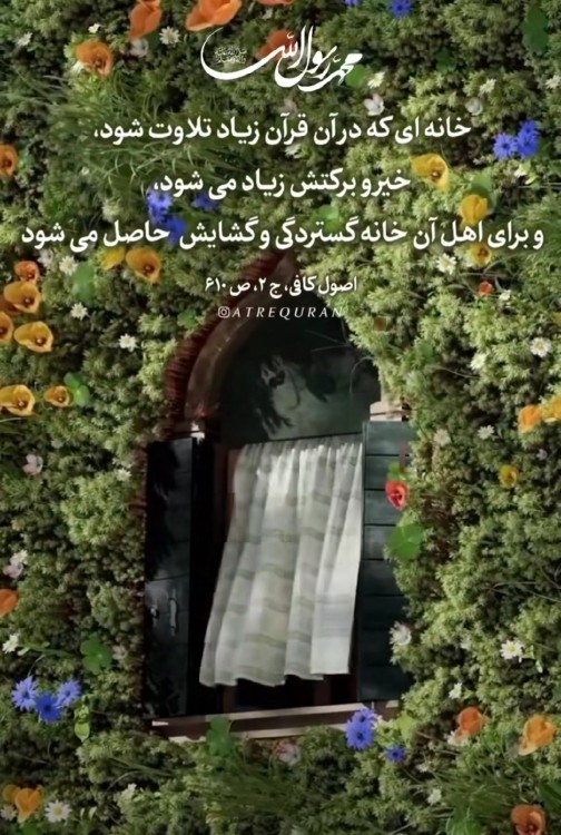 یا مولا علی جان التماس دعا 