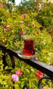 روز بخیر☕🌹