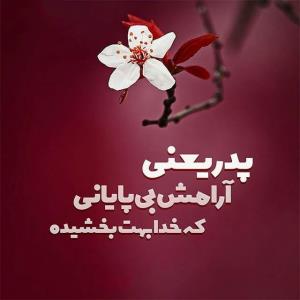 پدر یعنی 