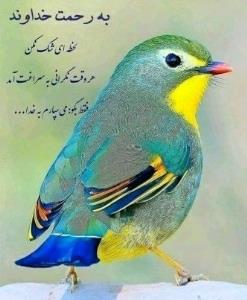 نقاشی خدا