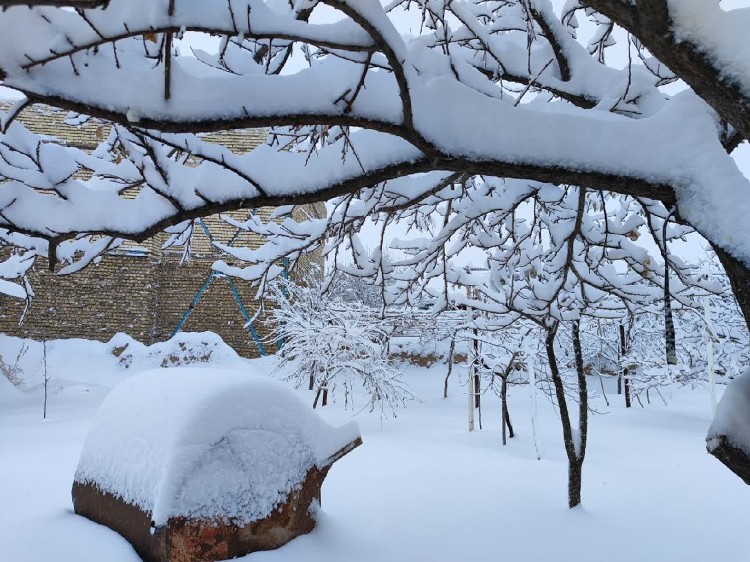 برف..... زیبایی زمستان 