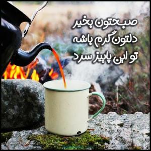 سلام.صبح سرد پاییزیتون بخیر 🙋‍♂️🌨🍵🦋🍁