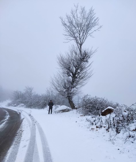 ❄️جاده زیبا😍