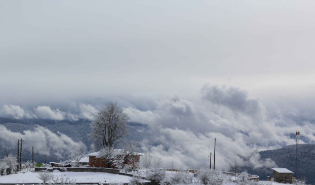 نفس پاک بکشید❄️❤️💚