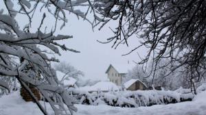 خدایا شکرت❄️💚❤️