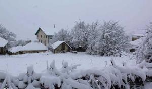 زیبای جذاب❄️💚🥰