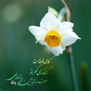 امام زمانم🌹🌷